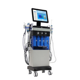 14 in 1 Hydro Spa Machine VY-8051C