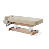 Union-Basic Salon Furniture Professional Electric Adjustable Massage Physical Therapy Treatment Bed Spa Beauty Facial Table MODEL: DUB