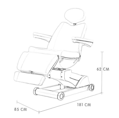 VIVINOVA® 4-motor Zenith Electric Medi-SPA Bed HZ-3873A