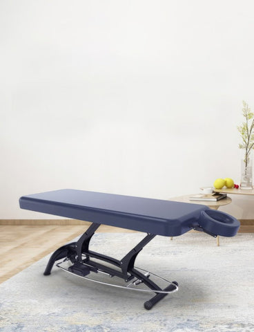 Goodwill Electric Treatment Massage Table - GreenLife - Electric Bed