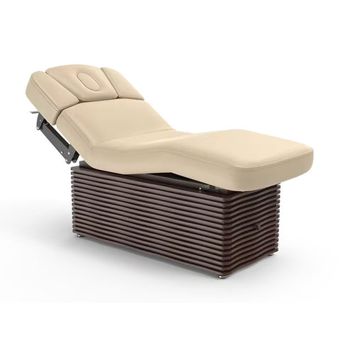 Greenlife Ness-D Electric Massage Bed Modern Facial Therapy Spa Massage Treatment Table